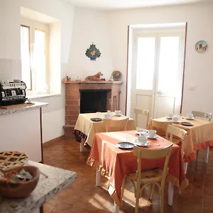 Grappoli Di Sole Rome